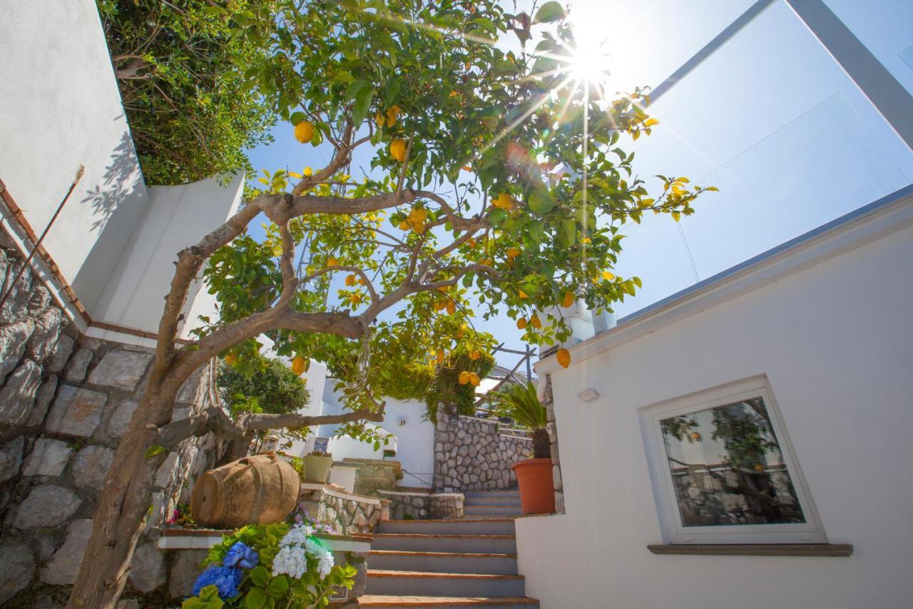 Villa Venus In Penisola Sorrentina Massa Lubrense Dış mekan fotoğraf